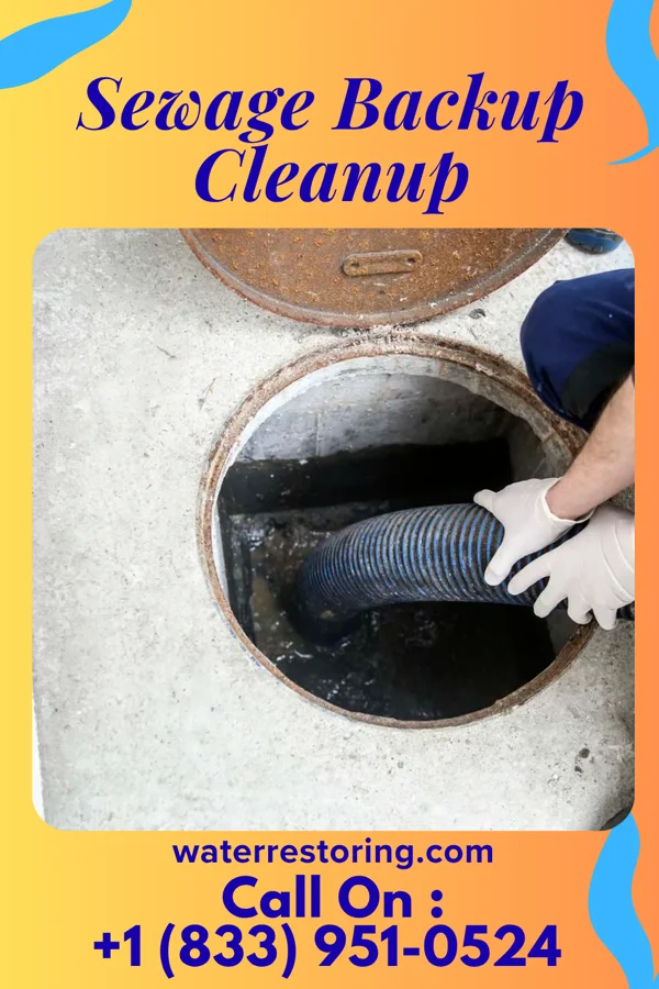 Sewage Backup Cleanup in Jacob City, FL